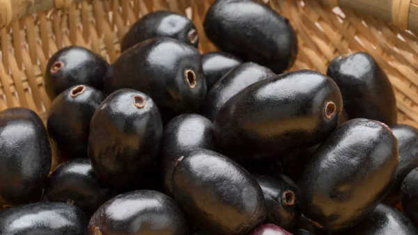 jamun