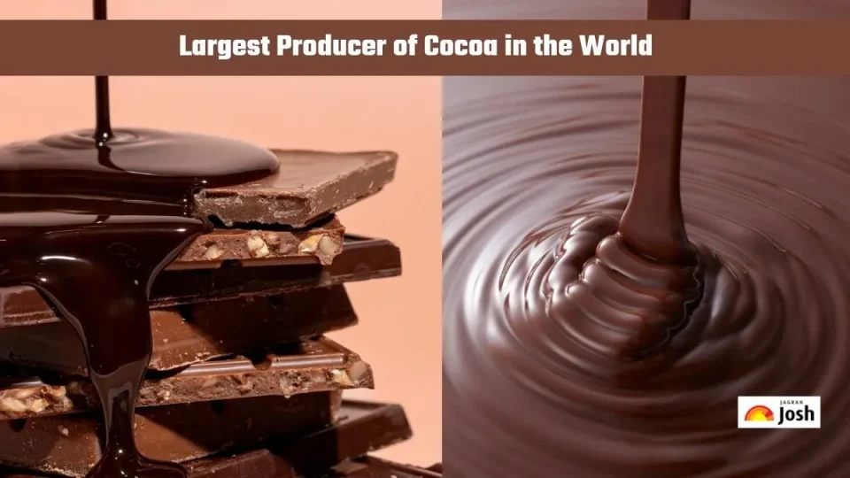 Cocoa