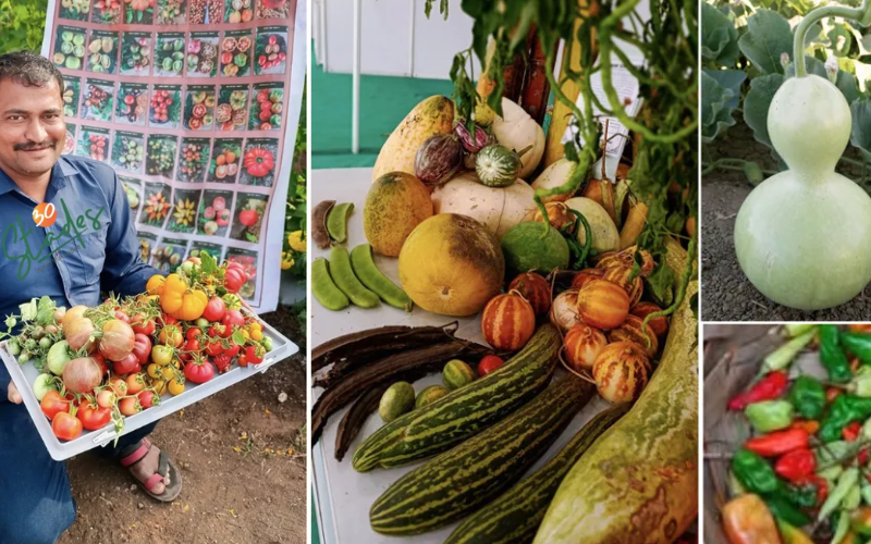 vegetable