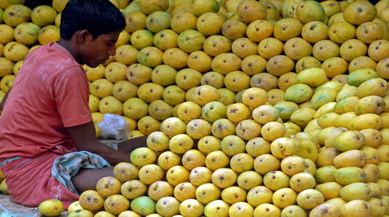 mangoes
