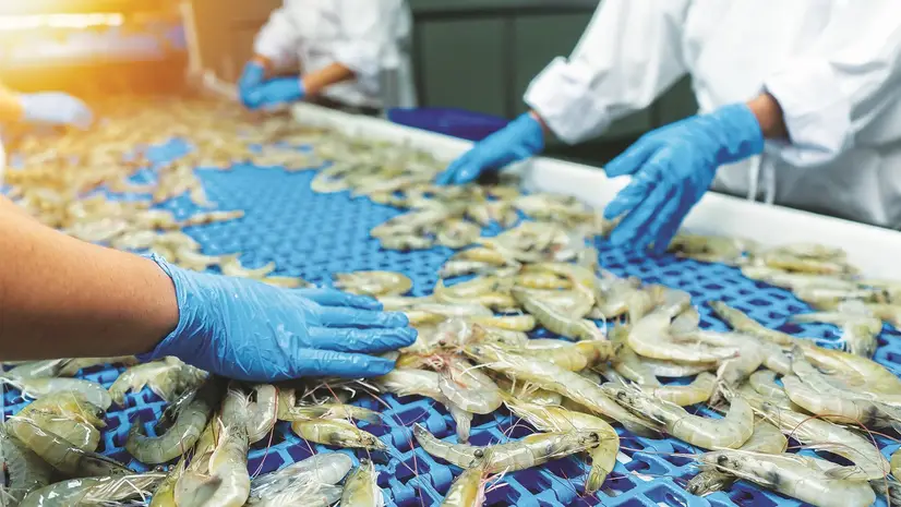 seafood