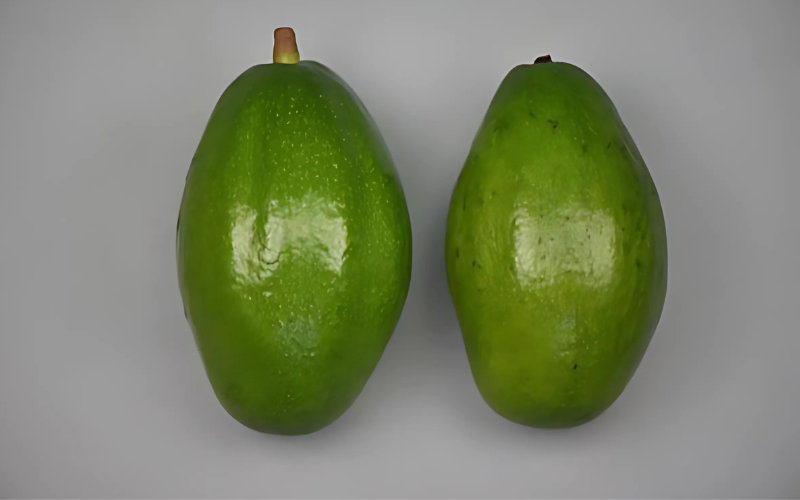 new avocado varieties