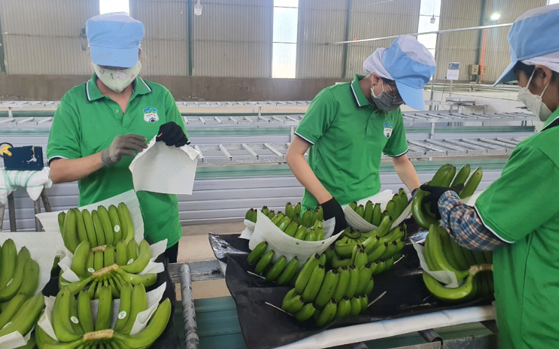 banana