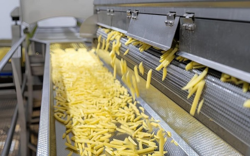 French fry