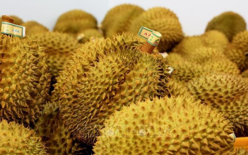 fruit