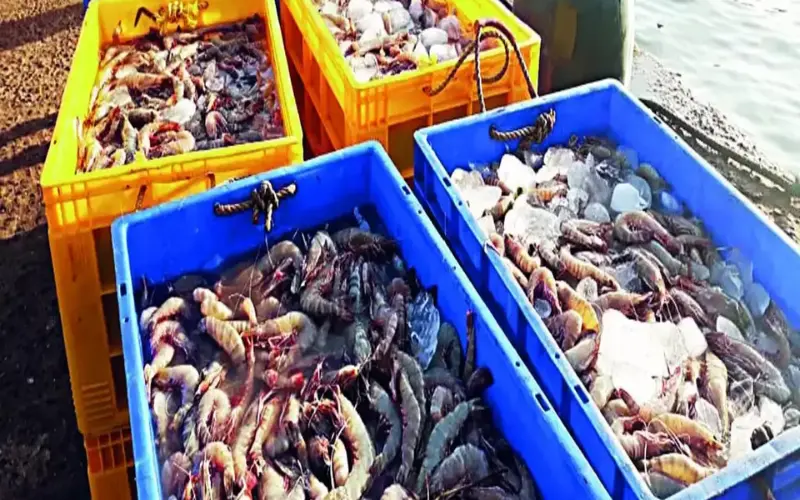 fisheries