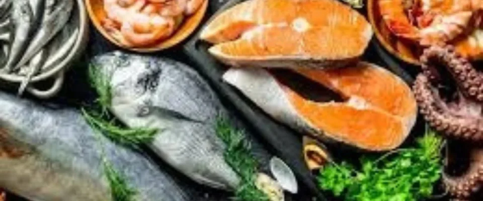 Budget 2026 Eases Cost, Capital Pressures for Seafood Exporters