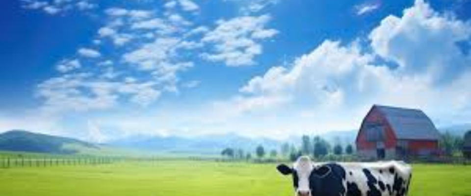 Dairy Industry Seeks Infra, Tech Push in Union Budget 2026