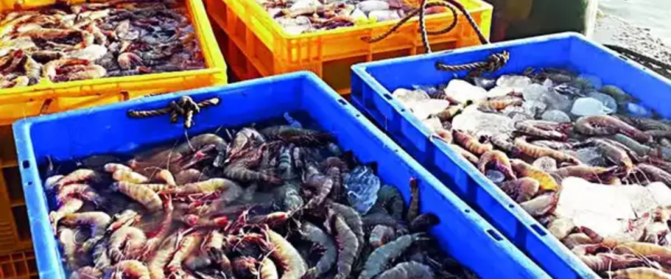 Highwood Harbor Acquires U.S. Seafood Importer Eastern Fish