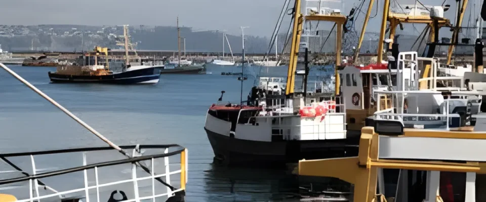 UK Opens Consultation on New Fisheries Plans Amid Environmental Concerns