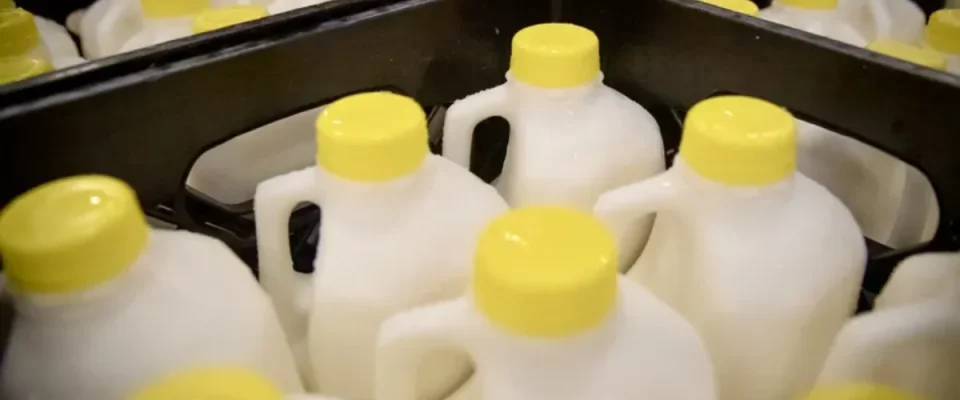 USDA to Invest $263M in Dairy and Specialty Crops