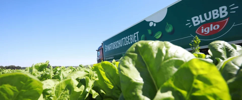 DHL and iglo Strengthen Frozen Food Logistics Partnership in Germany