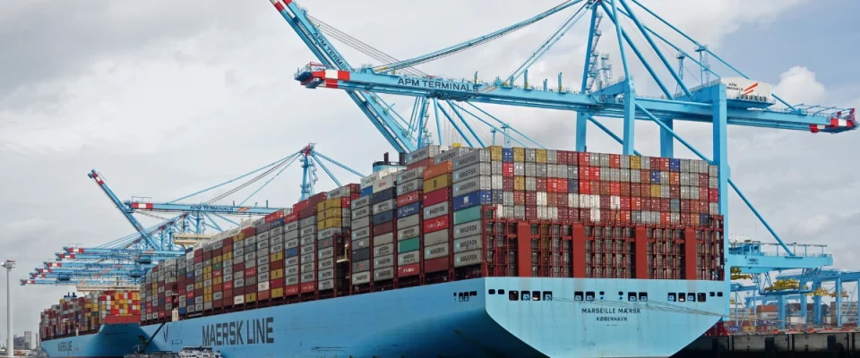 Egypt’s Food Industry Achieves Record Growth in Exports