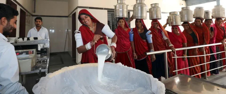 Sumul Dairy increases milk procurement prices, benefiting 2.5 lakh cattle rearers and strengthening rural incomes.