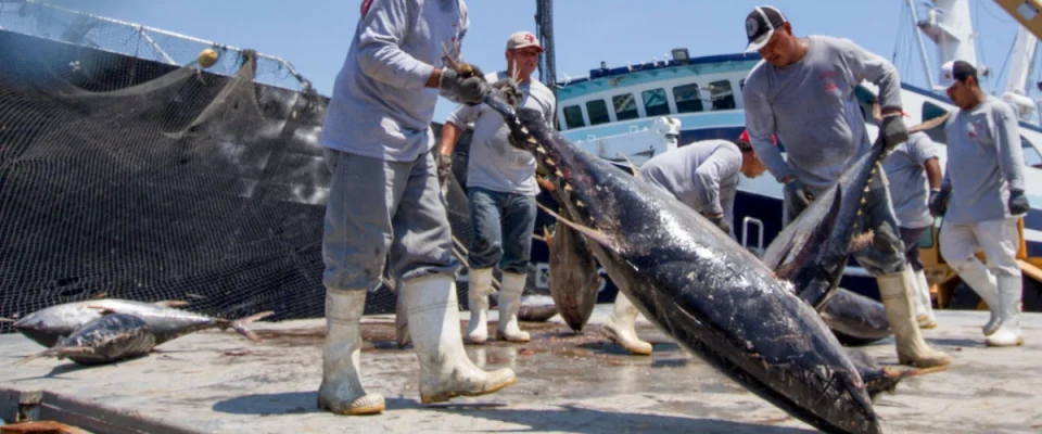 Mexico Unveils New Initiative to Strengthen Seafood Industry and Regional Economies