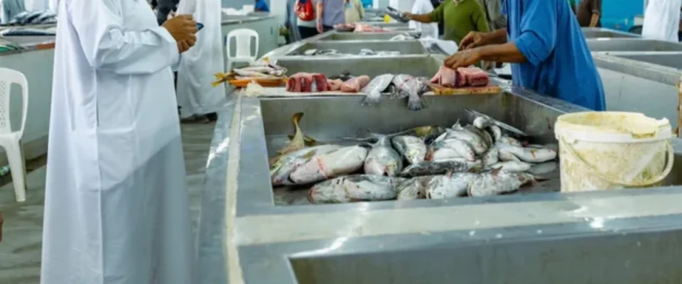 New investments in aquaculture boost Oman’s seafood production industry