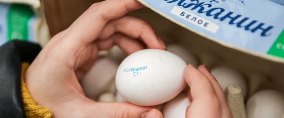 Demand from Mongolia Boosts Russian Egg Export Market