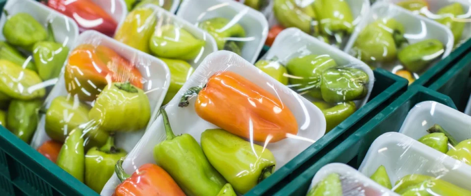 Global Packaging Industry Expands Efforts to Cut Food Waste
