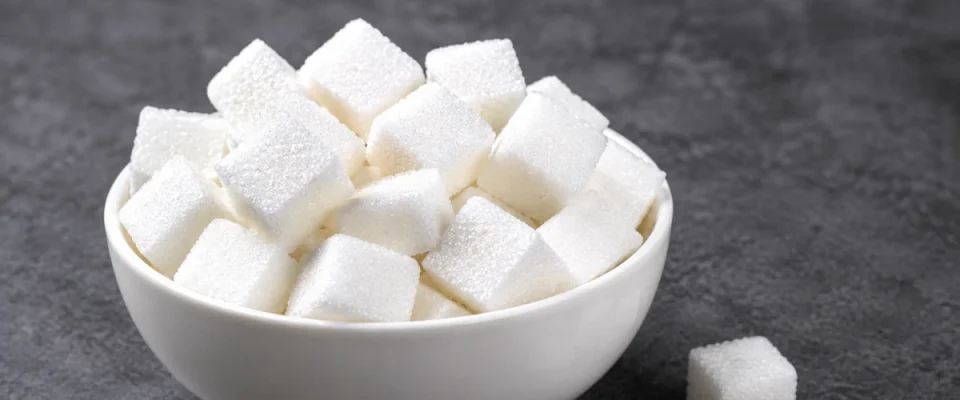 New Plant-Based Sweetener Programme Aims to Improve Taste and Reduce Sugar