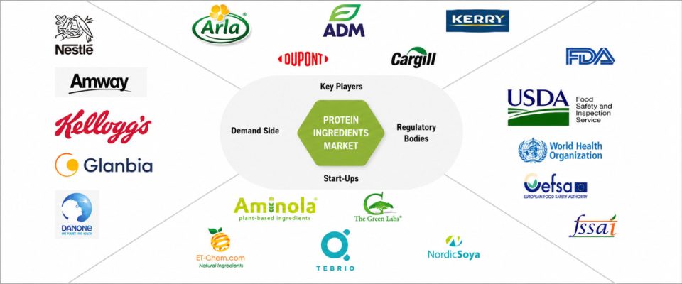 Global Food Companies Expand Protein Product Portfolios Amid Consumer Shift