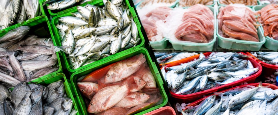 First Chilled Seafood Export to Oman Flagged Off from Chennai Under India–Oman CEPA