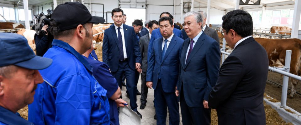 North Kazakhstan Strengthens Position as Dairy Production Leader