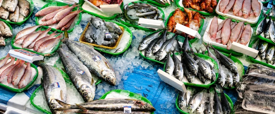 Fish Exports Set for Strong Growth as China and EU Demand Increases