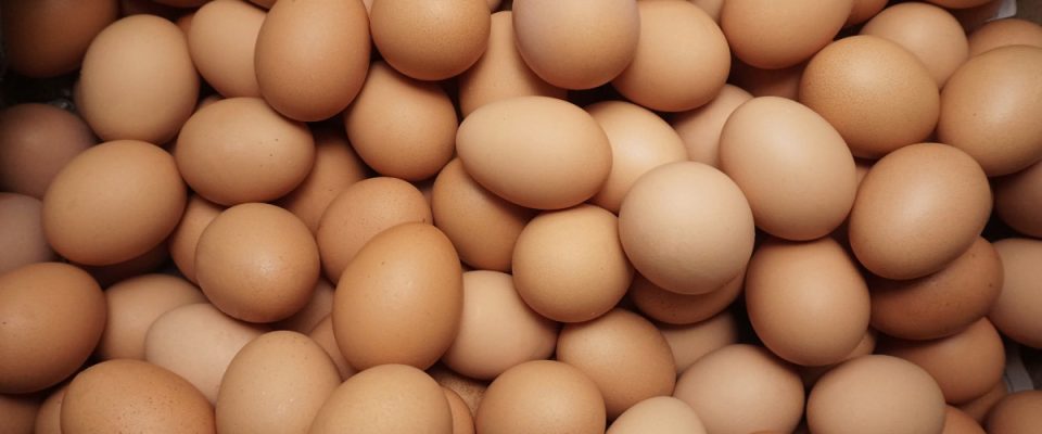 American Egg Board Strengthens Global Presence to Boost U.S. Egg Exports