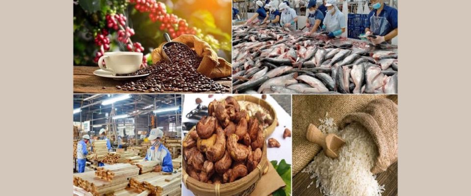 Indonesia Emerges as a High-Growth Market for Vietnamese Food and Agricultural Exports