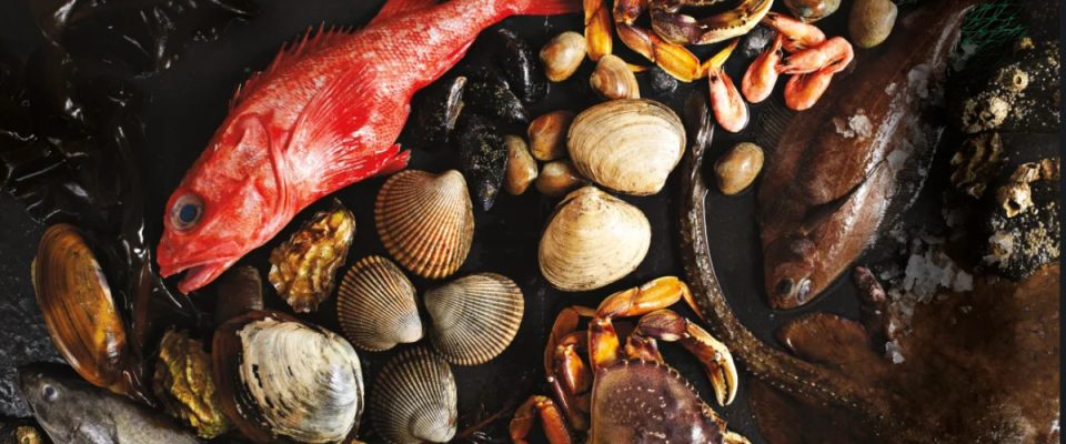 Oregon Seafood Industry Enters a New Era with Stronger Federal Support and Growth Initiatives