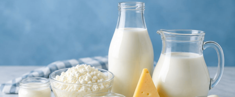 Milky Mist Files ₹2,035 Crore IPO to Expand Dairy Manufacturing Capacity