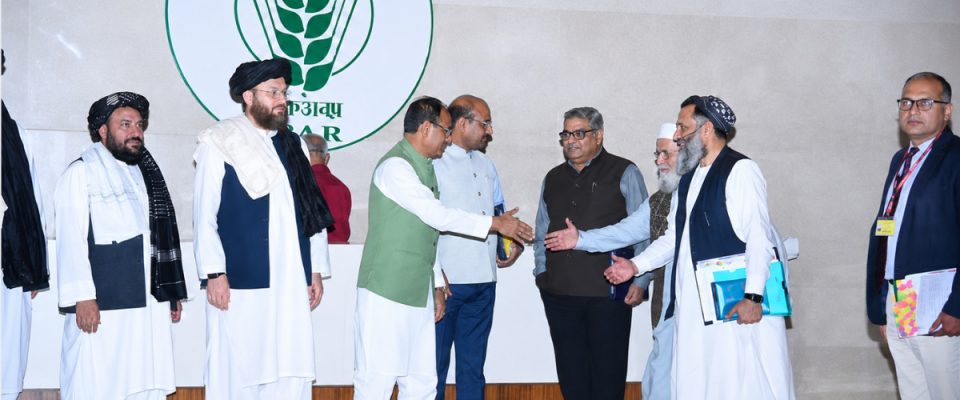 India and Afghanistan Strengthen Trade, Agriculture and Connectivity Cooperation