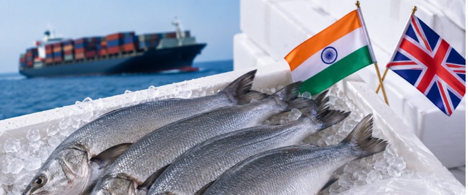 MPEDA to Launch Fresh Chilled Fish Exports to UK Under India–UK CETA