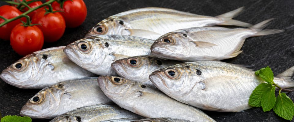 Karnataka Fisheries Development Corporation to Launch E-Portal for Ready-to-Cook Seafood