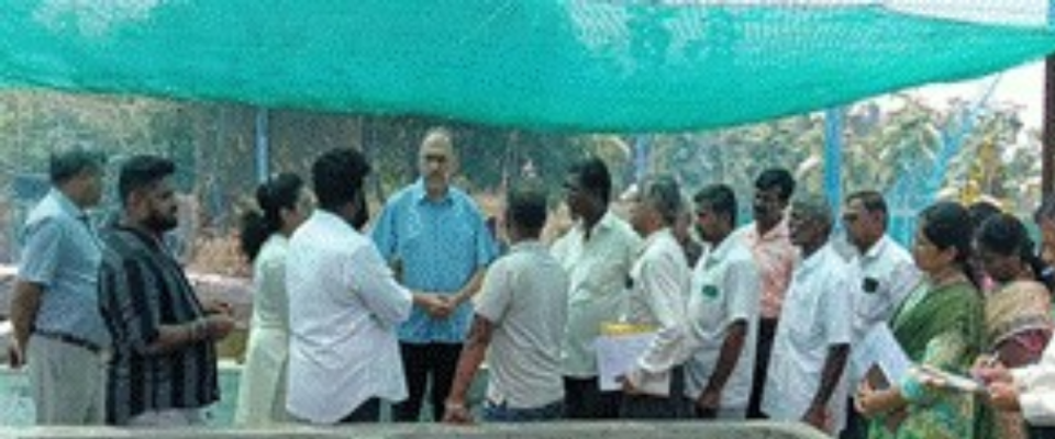 Ornamental fisheries cluster