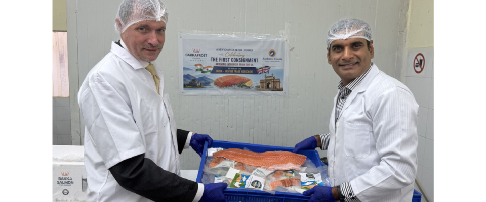 Scottish salmon